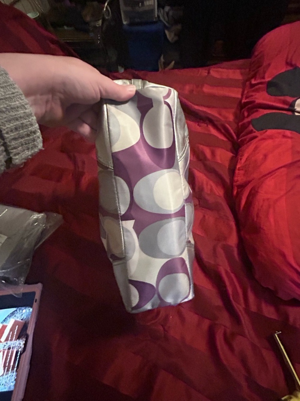 Couch bag - Picture 9 of 16